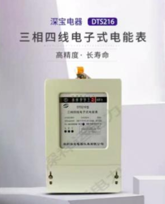 图片 深宝三相电子表带检验