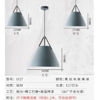 图片 皮艺吊灯