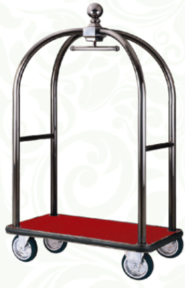 图片 大金顶行李车